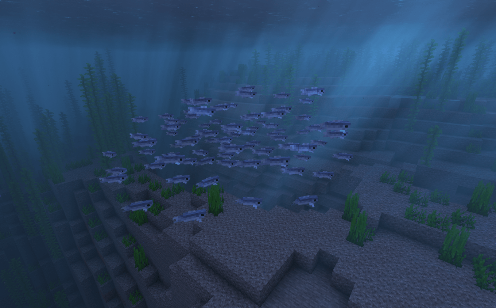 screenshot thumbnail