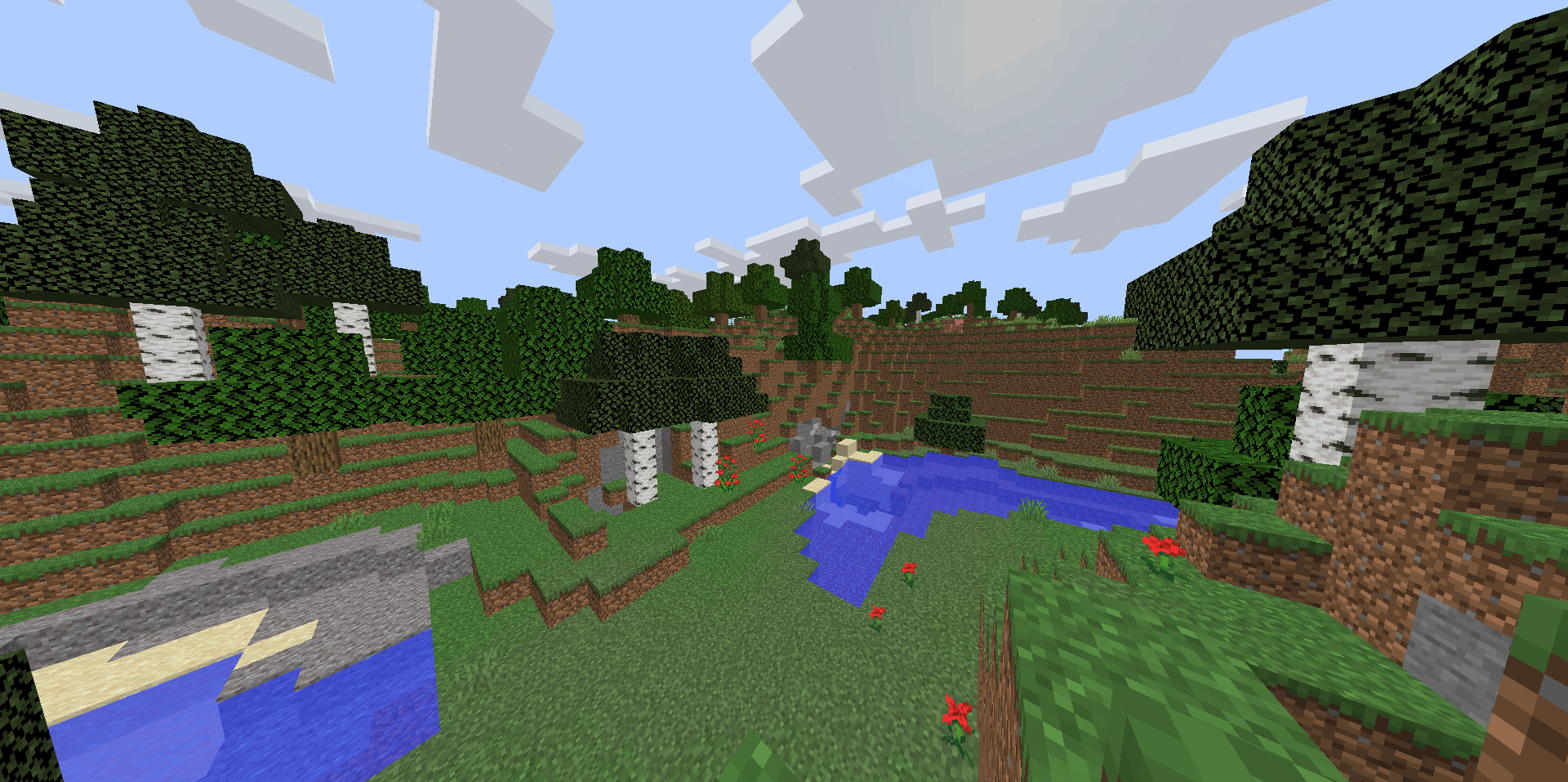 Birch Forest