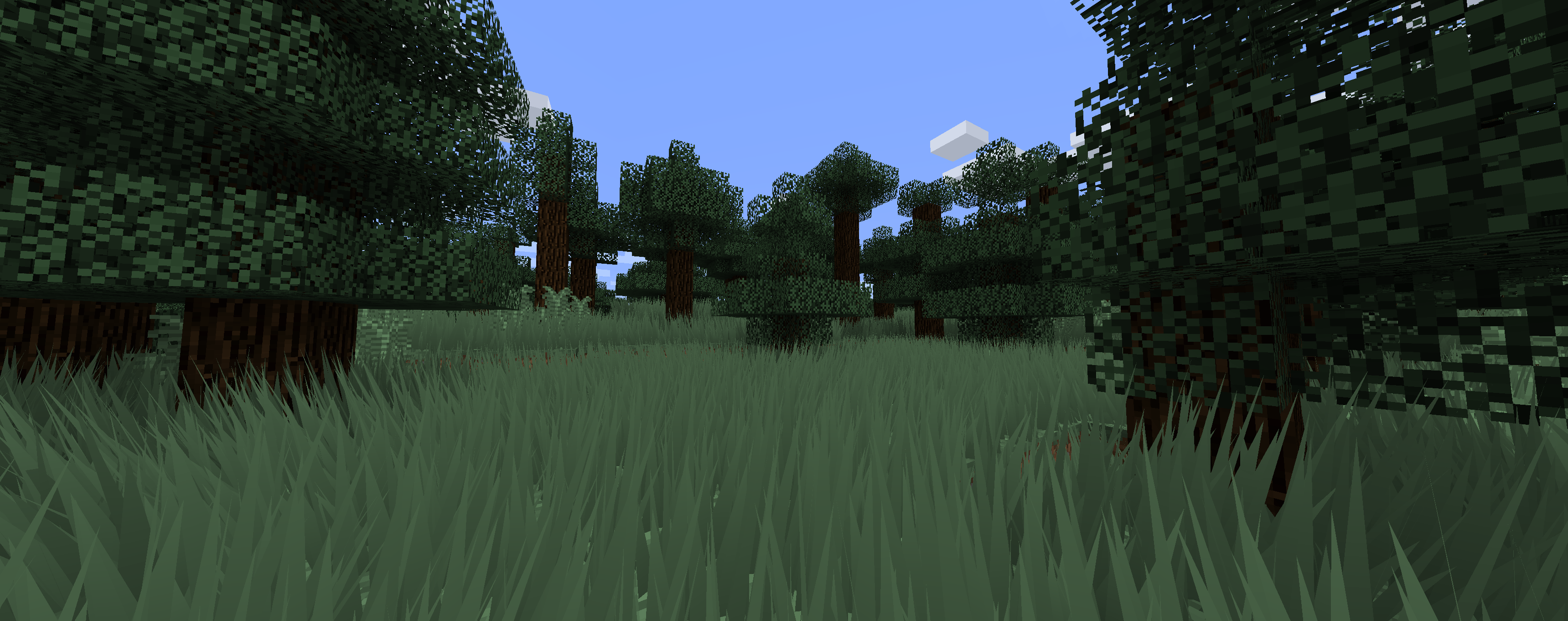 grass2.png