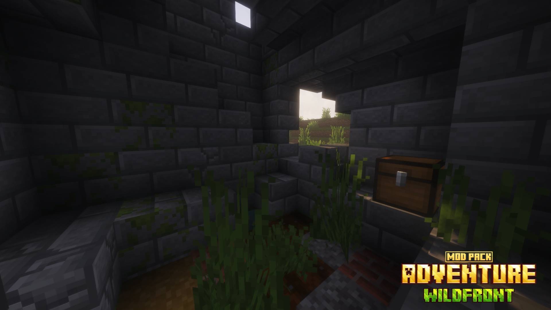 Thumbnail lv_0_20260104161541.jpg