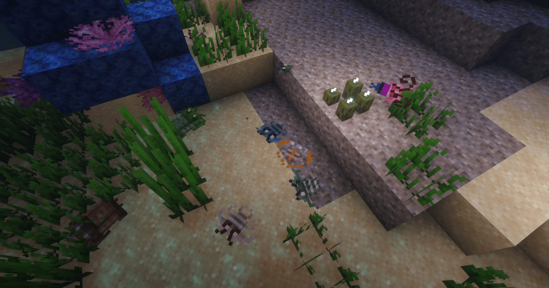 Thumbnail Trilobites