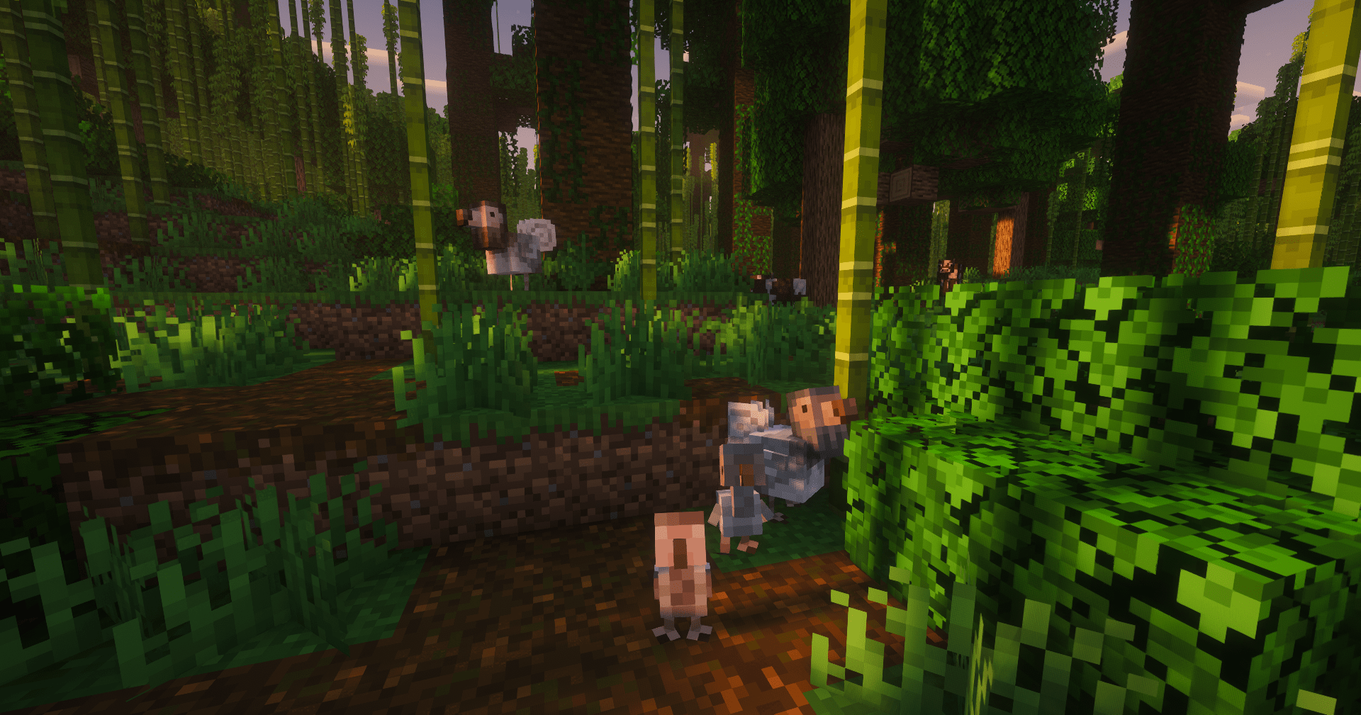Thumbnail Dodos