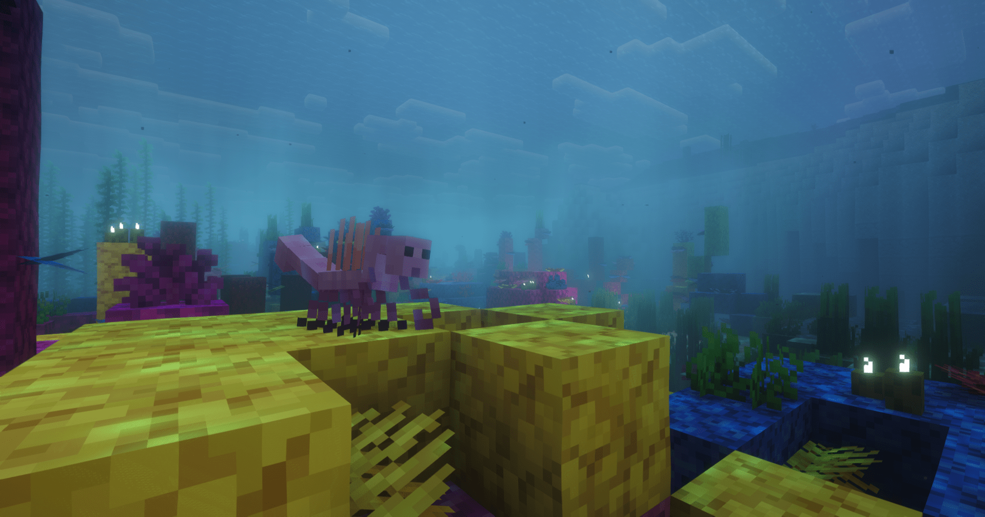 Thumbnail Hallucigenia