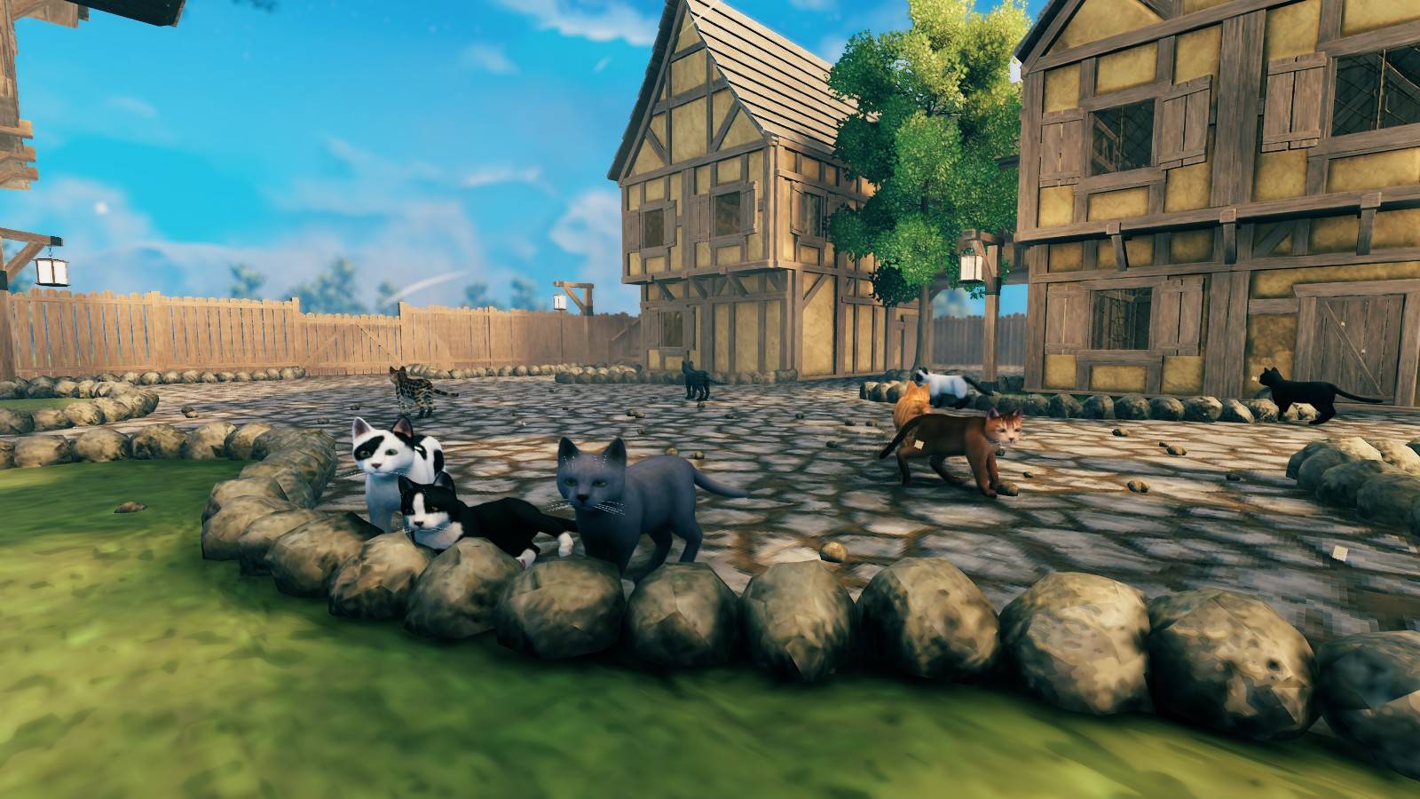 cats2.jpg