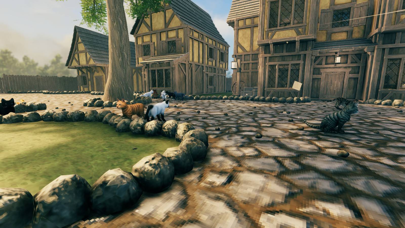 cats3.jpg