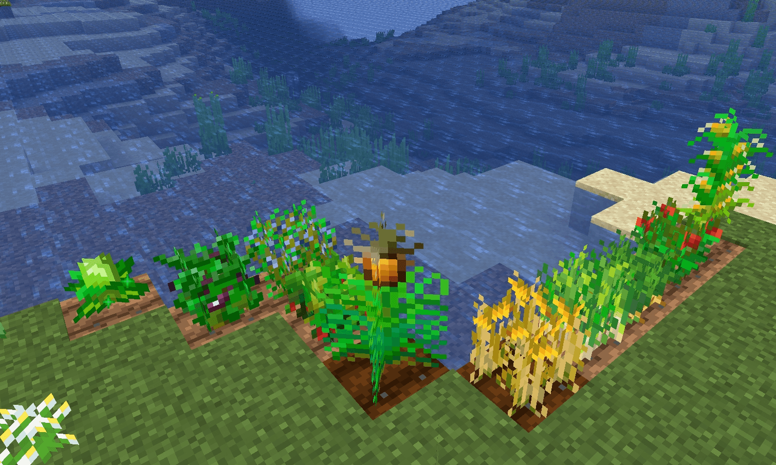 Thumbnail new texture of crops