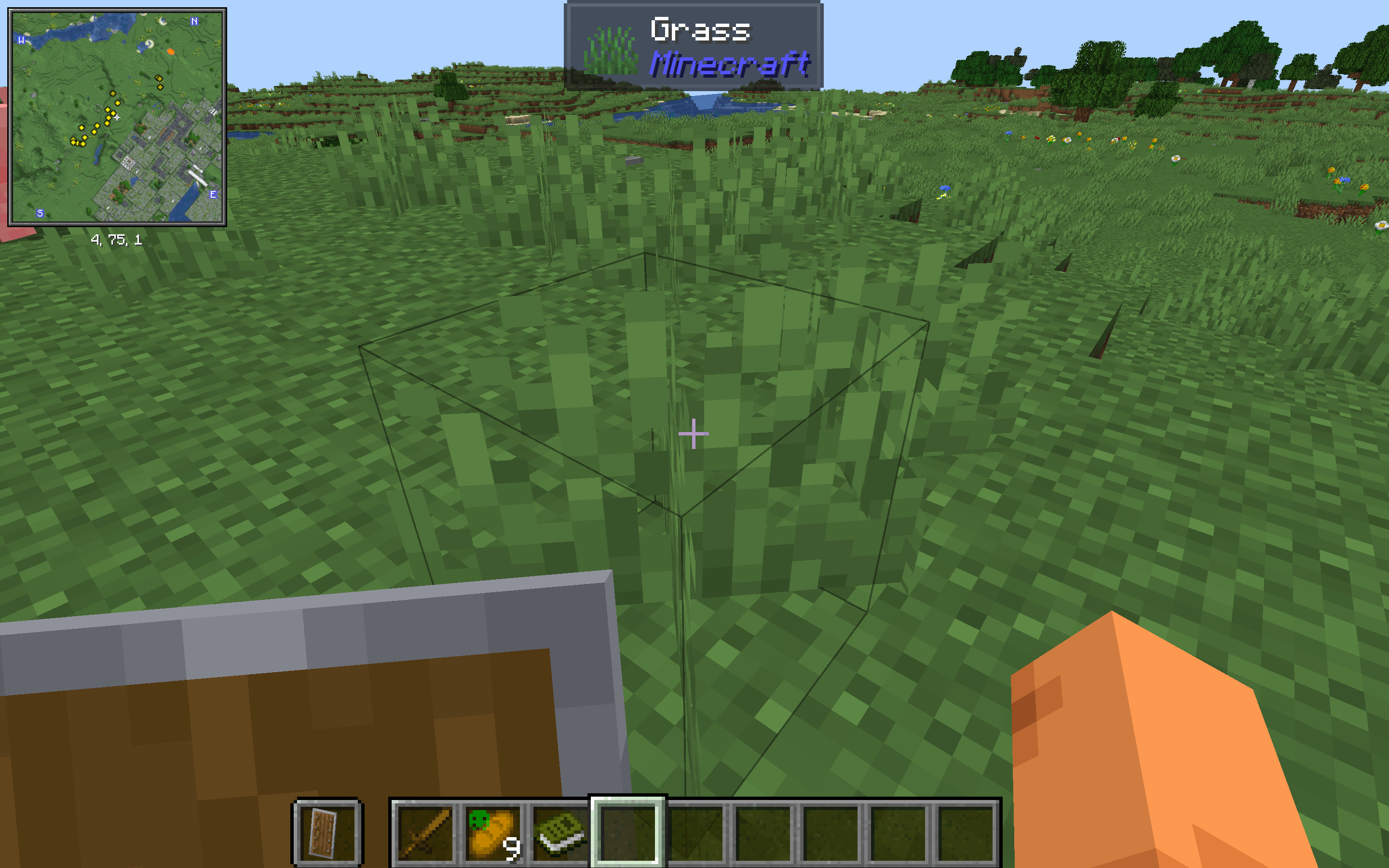 a piece of grass?