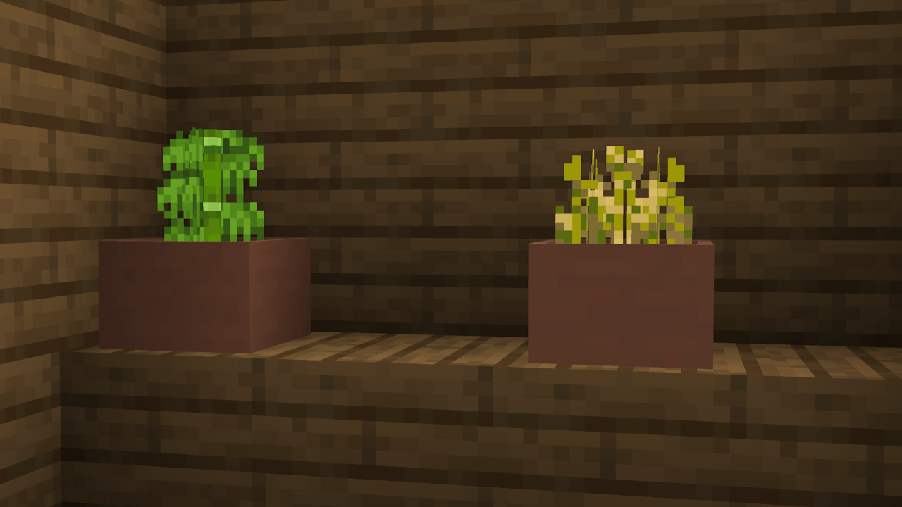 Showcase of Botany Pots