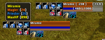 <p>Player frame in action.</p>
