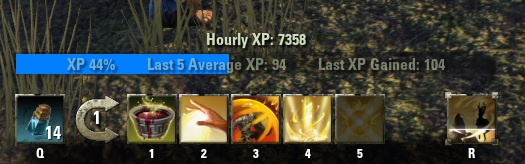 XP and hourly XP