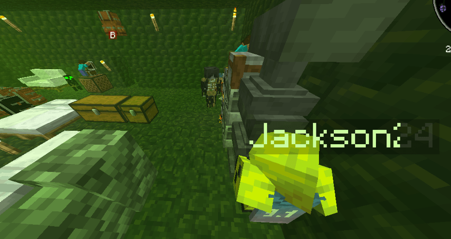 Screenshot taken from a Server.