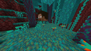 3d0ca7e69d85a0337fc5c690d3ca32bd00a5b051_350.webp