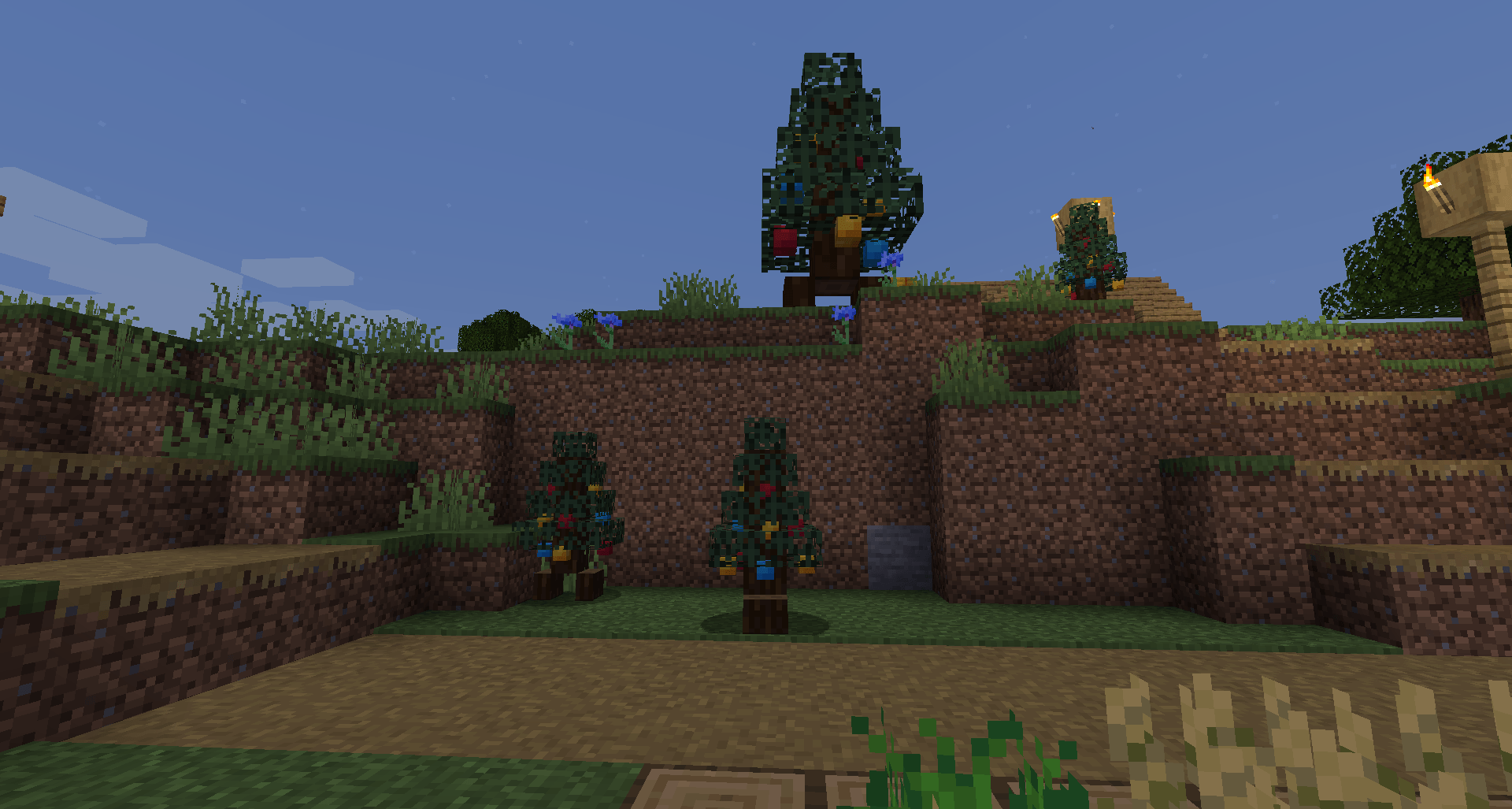 Image showcasing Spruce Willis and Grandfather Willis The Xmas Tree