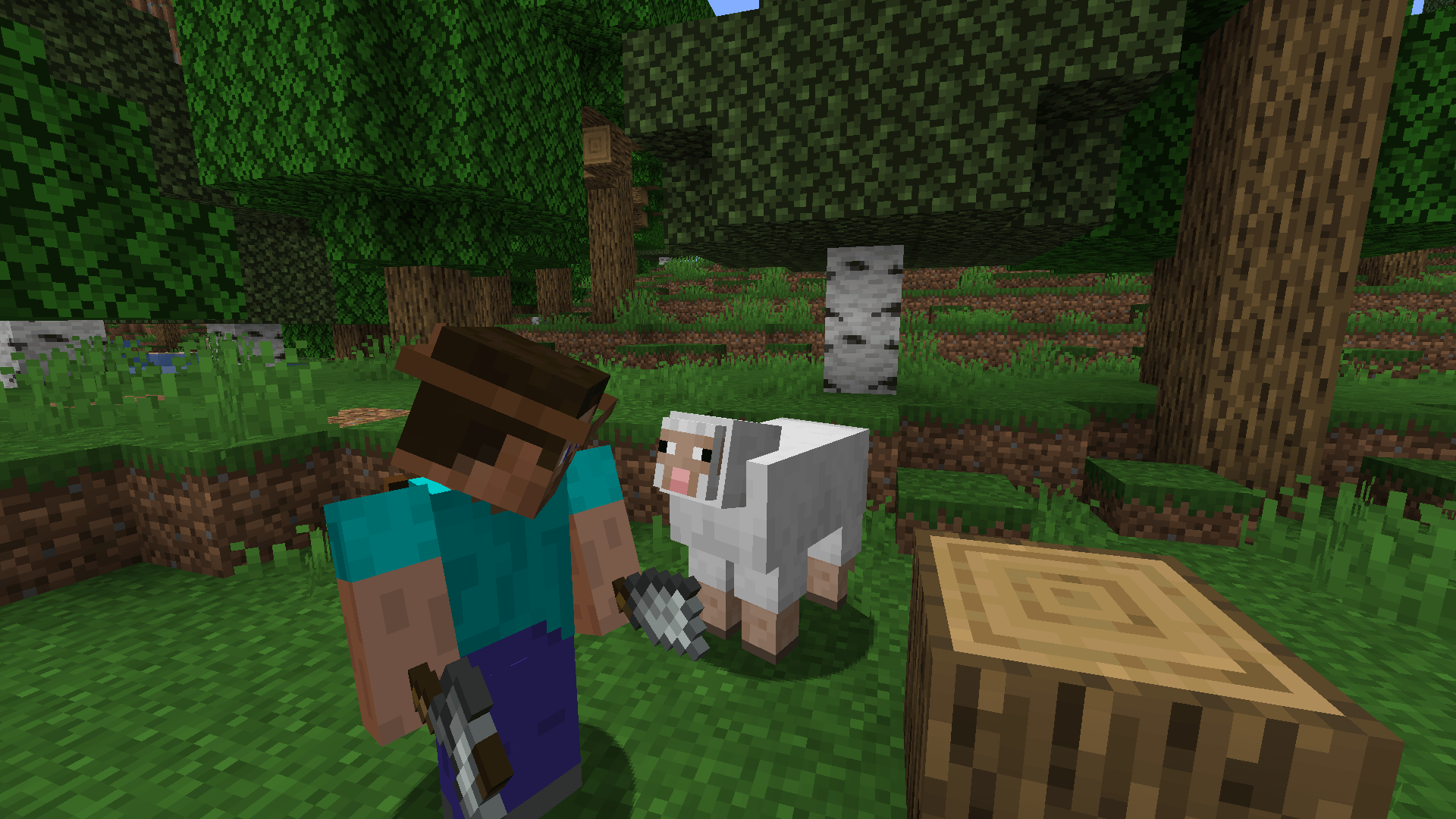 Thumbnail 2026-01-13_22.46.00.png