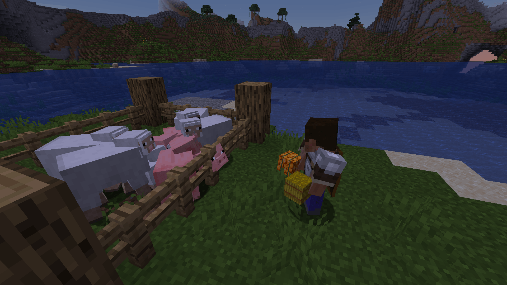 Thumbnail 2026-01-13_21.30.16.png