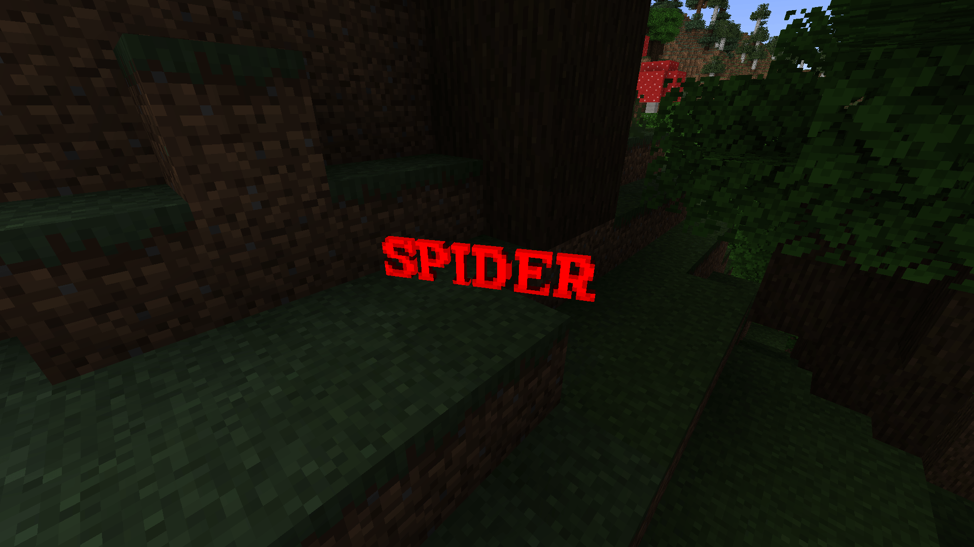 SPIDER