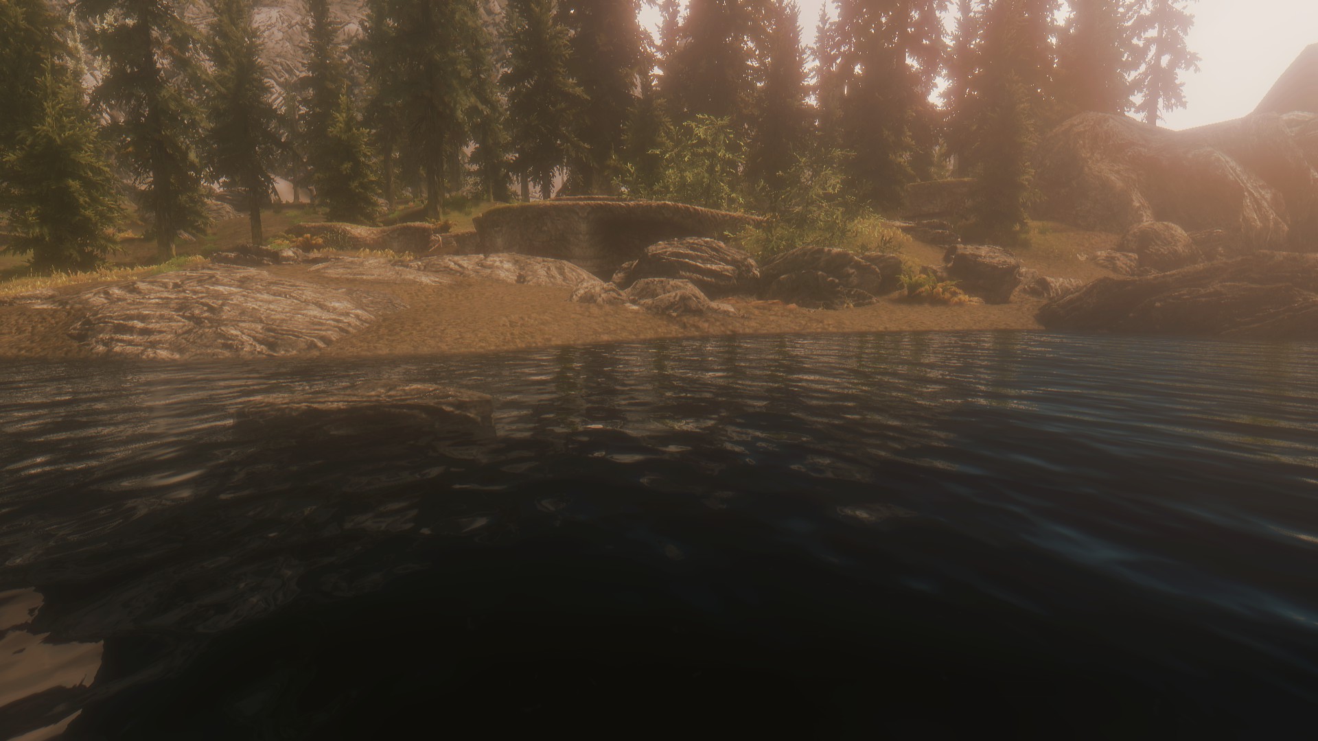 <p>Vitality ENB Warm</p>
