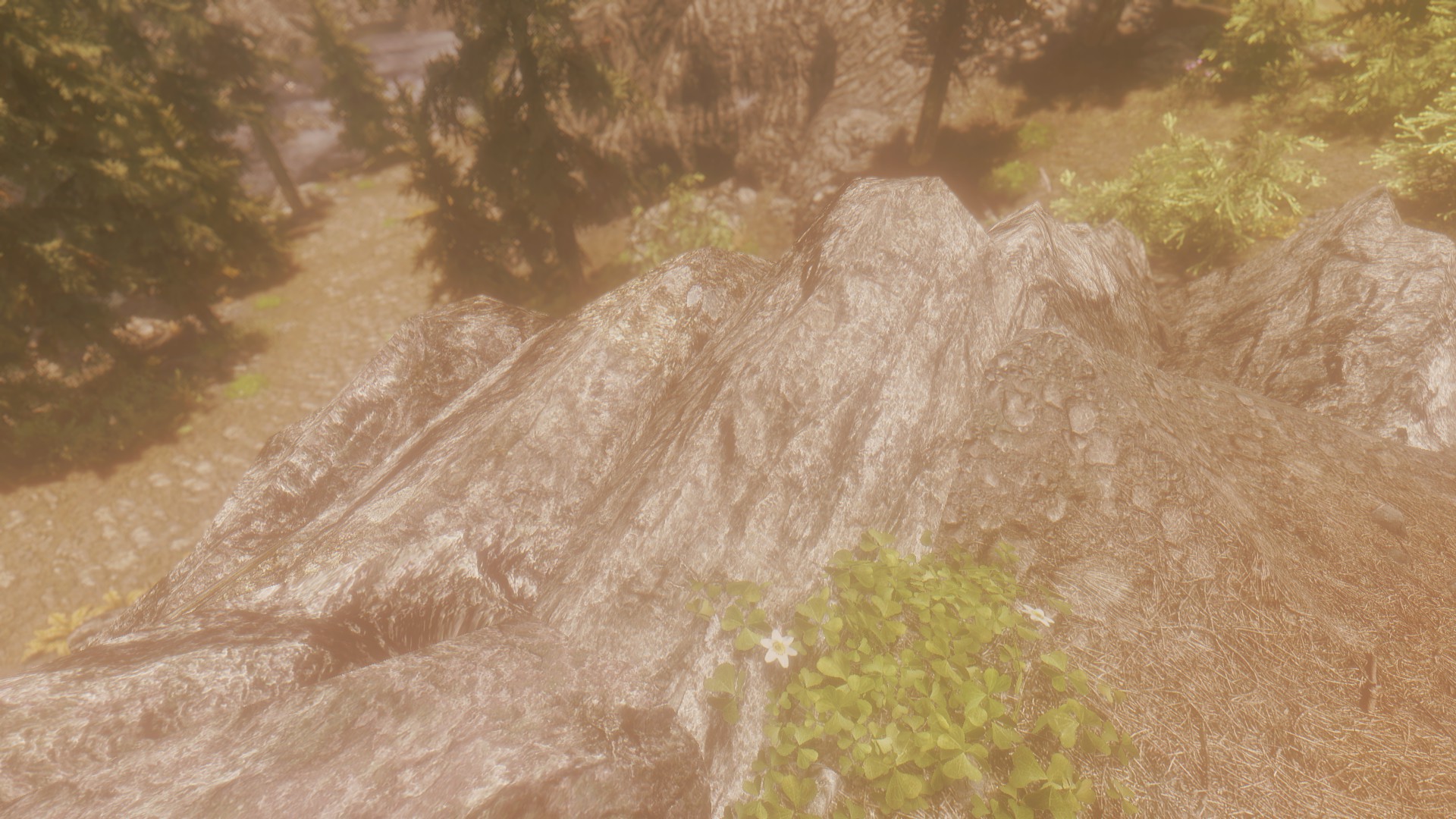 <p>Vitality ENB Warm</p>