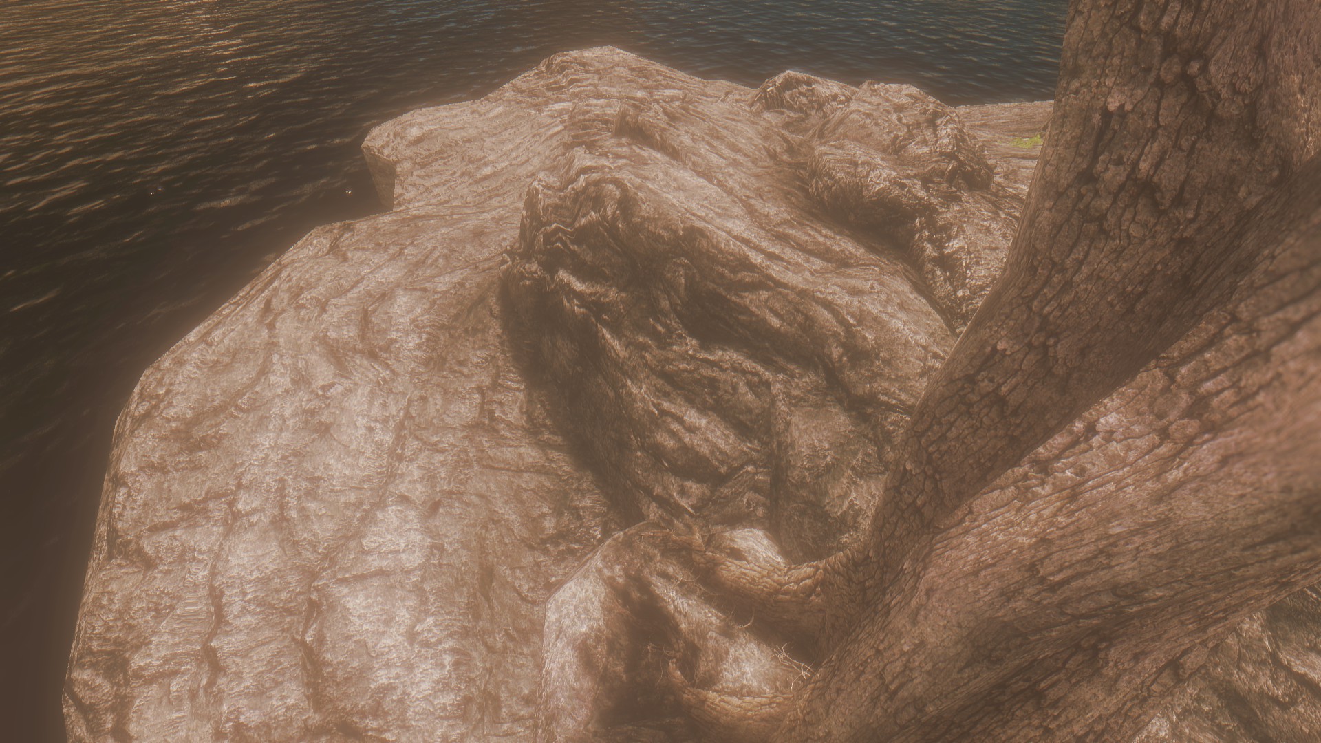 <p>Vitality ENB Warm </p>