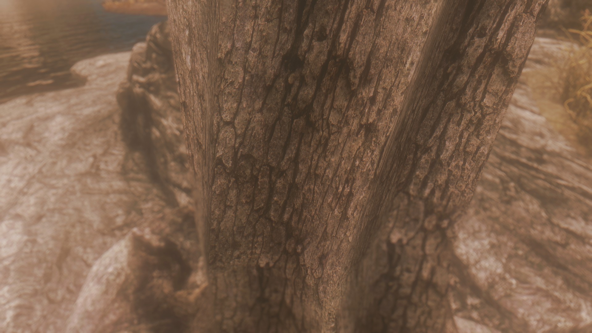 <p>Vitality ENB Warm </p>