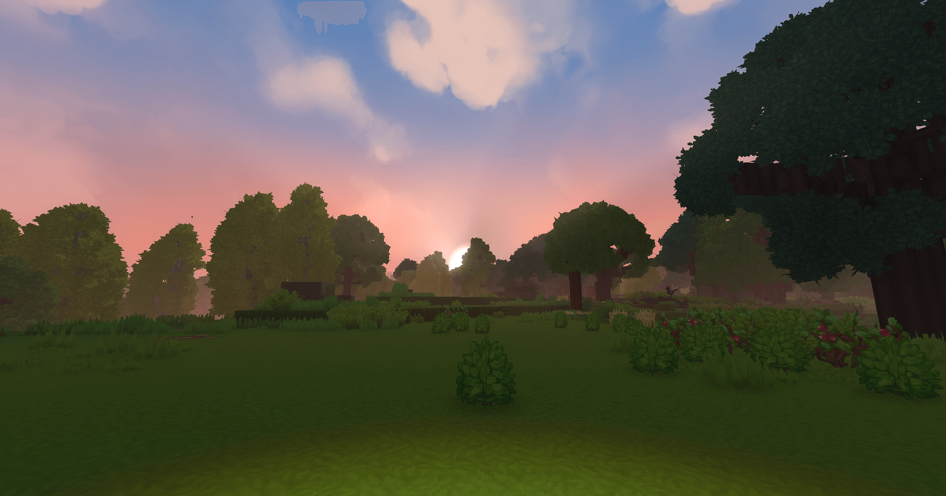 Thumbnail Hytale2026-01-14_17-45-43.png