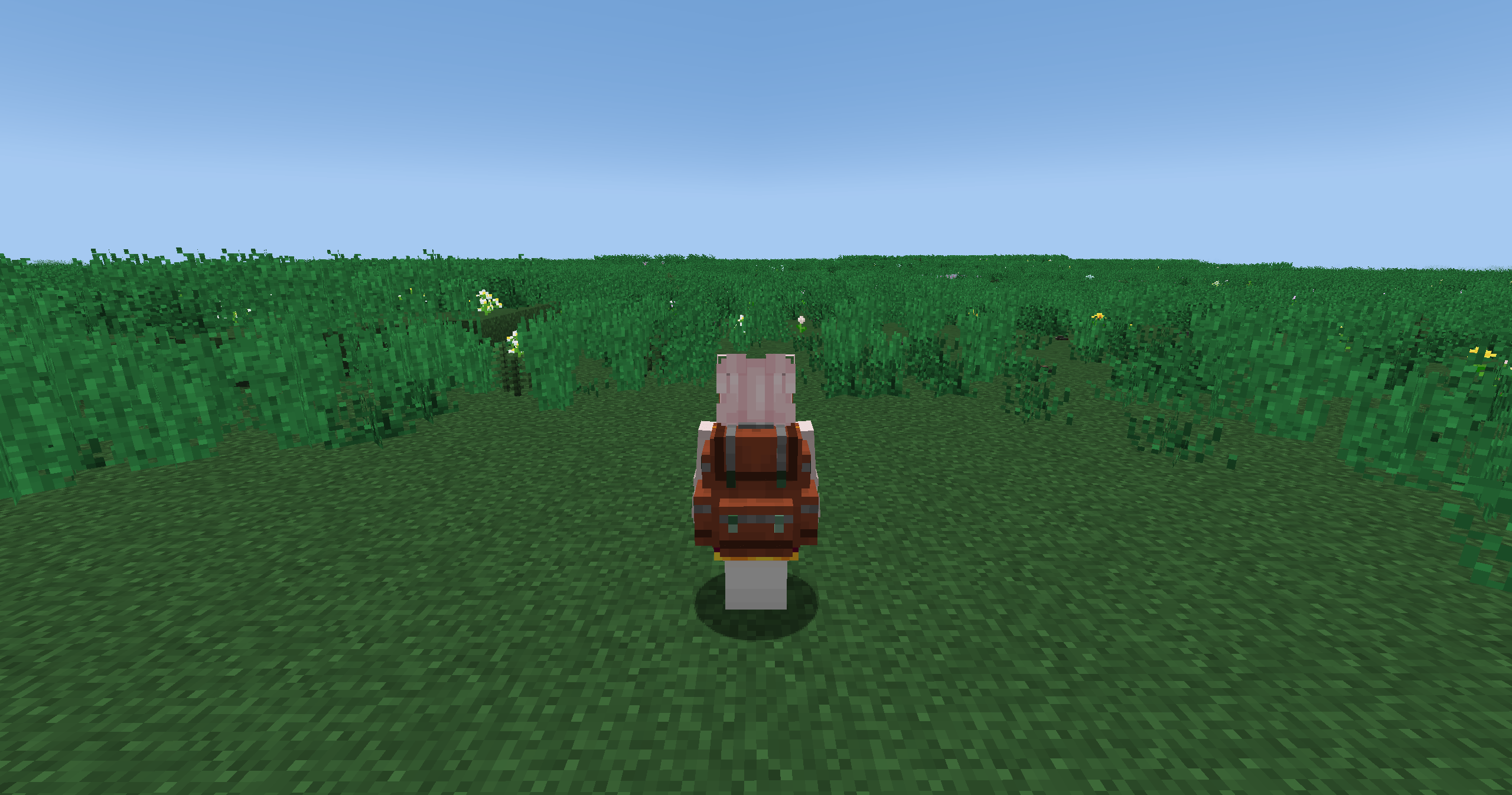 back pack.png