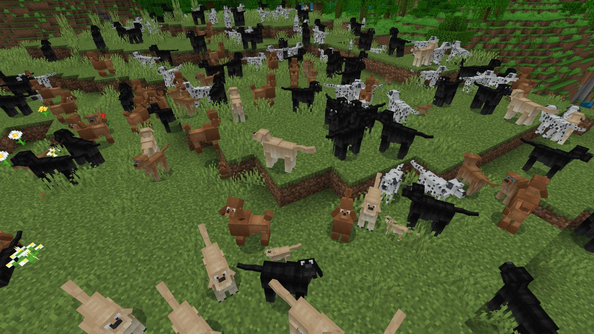 Dogs AddOn Screenshot 1.jpg