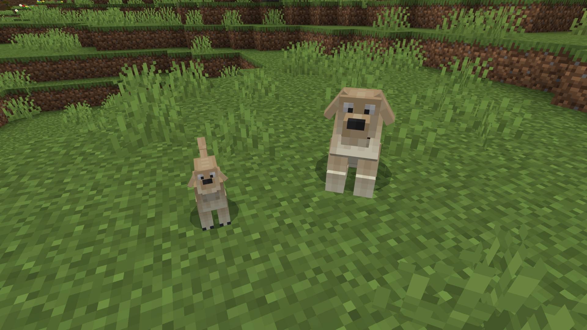 Dogs AddOn Screenshot 2.jpg