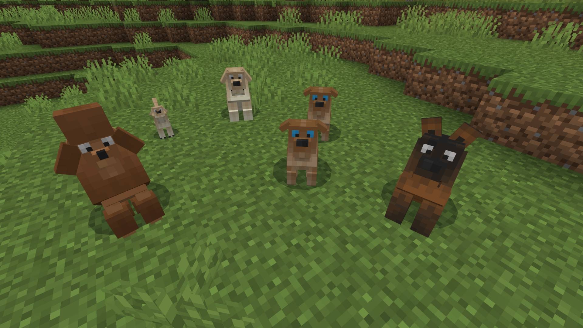 Dogs AddOn Screenshot 3.jpg
