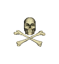 <p>Skull and crossbones in the classic way. The ingame size is a little bit smaller to not be disturbing.</p>
