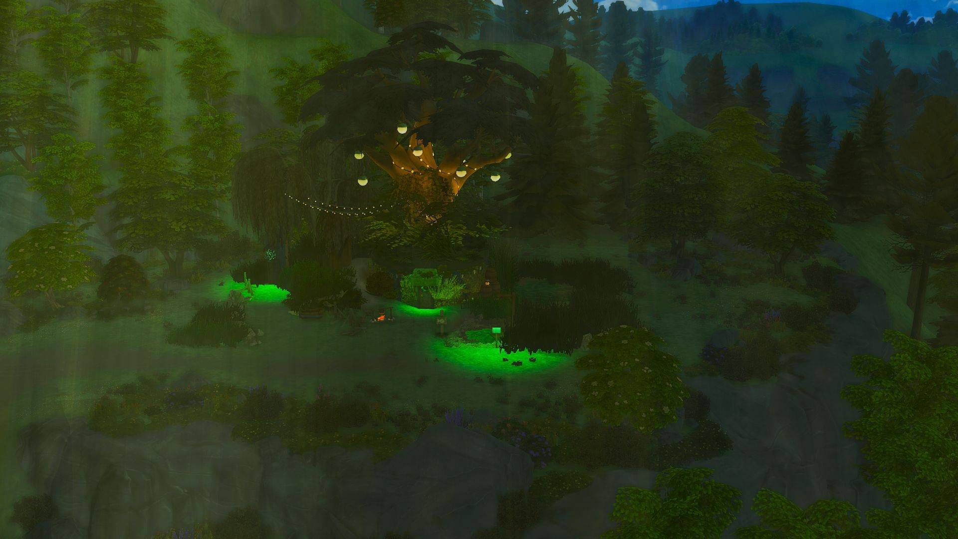 Foggy Forest