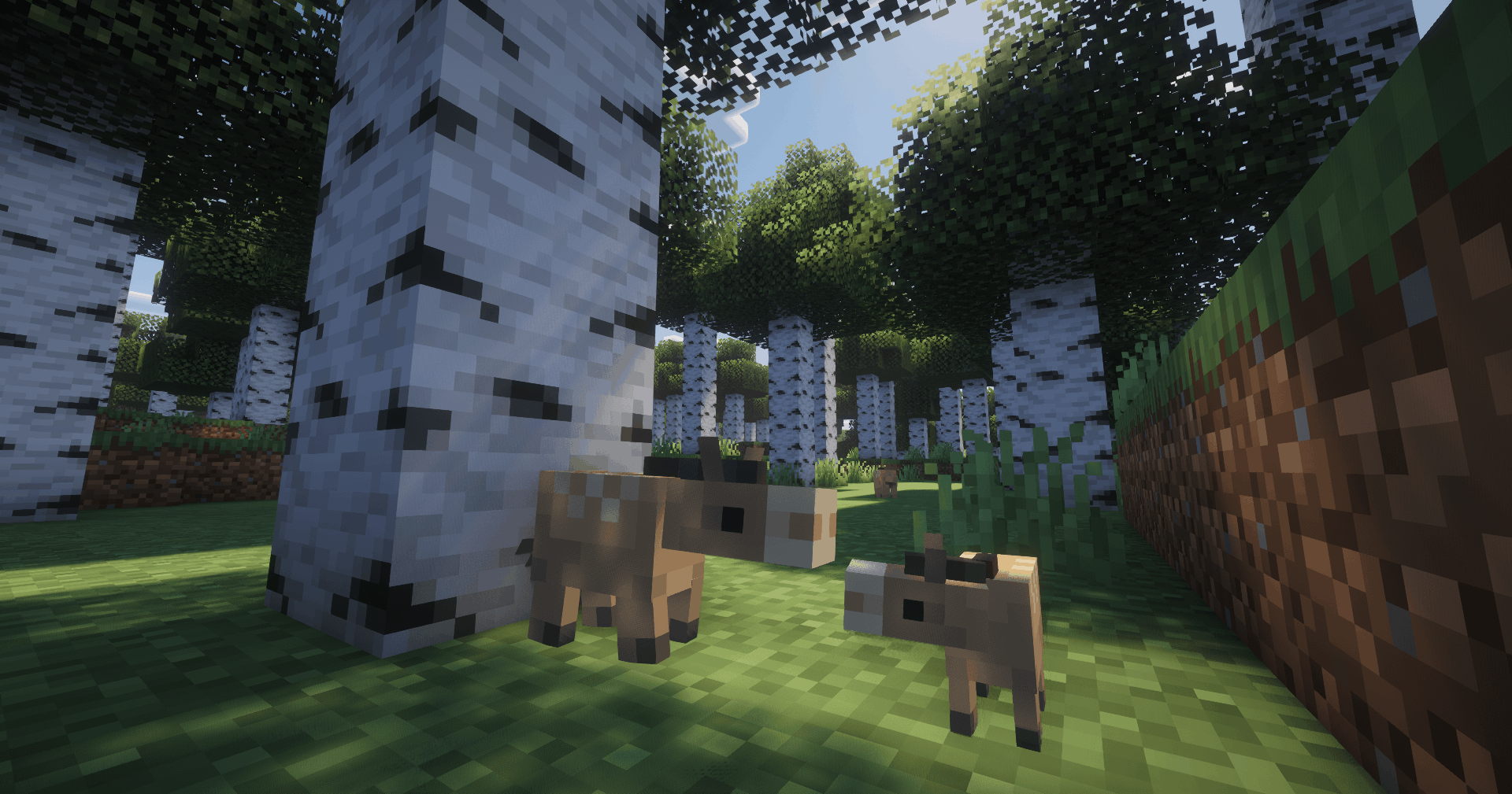 Thumbnail Dawn Horses