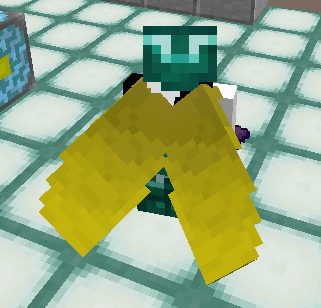 New Elytra Look