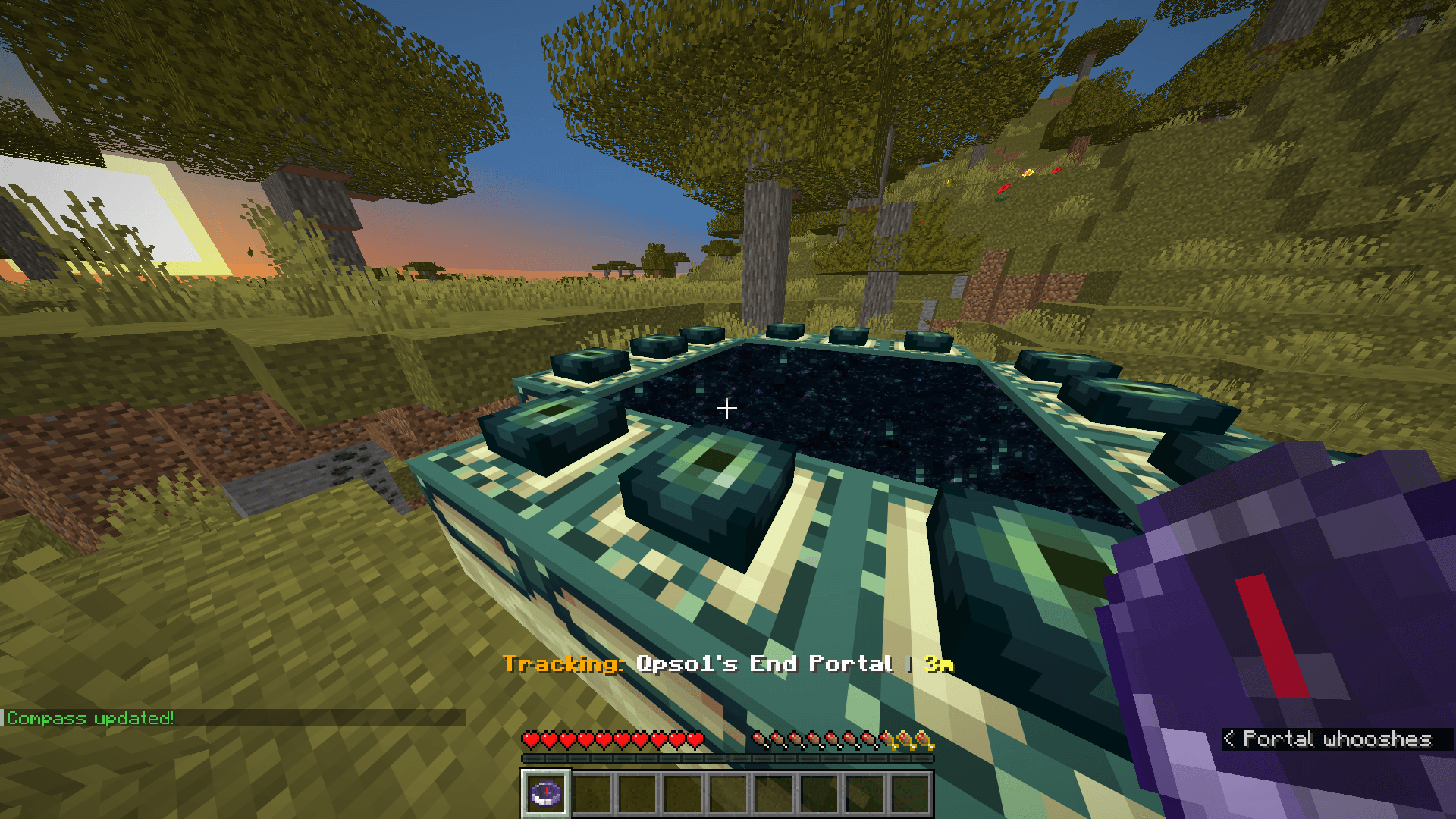 what tracking a portal a runner went through looks like