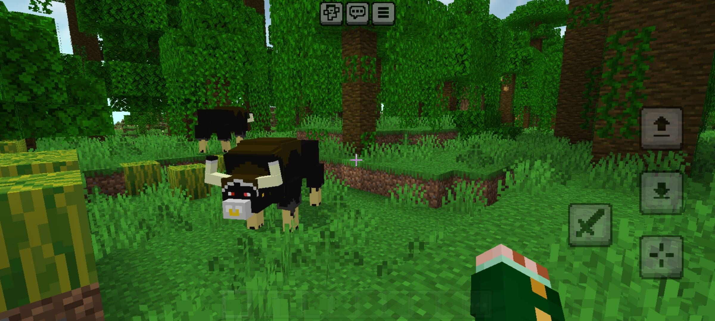 Screenshot_20260122_152045_com.mojang.minecraftpe.jpg