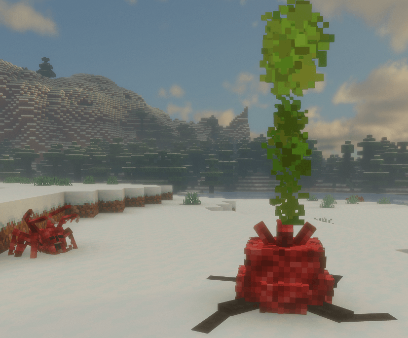 Thumbnail 2026-01-25_11h09_36.png