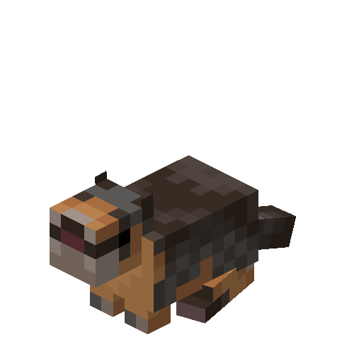 Thumbnail Yellow Bellied Marmot