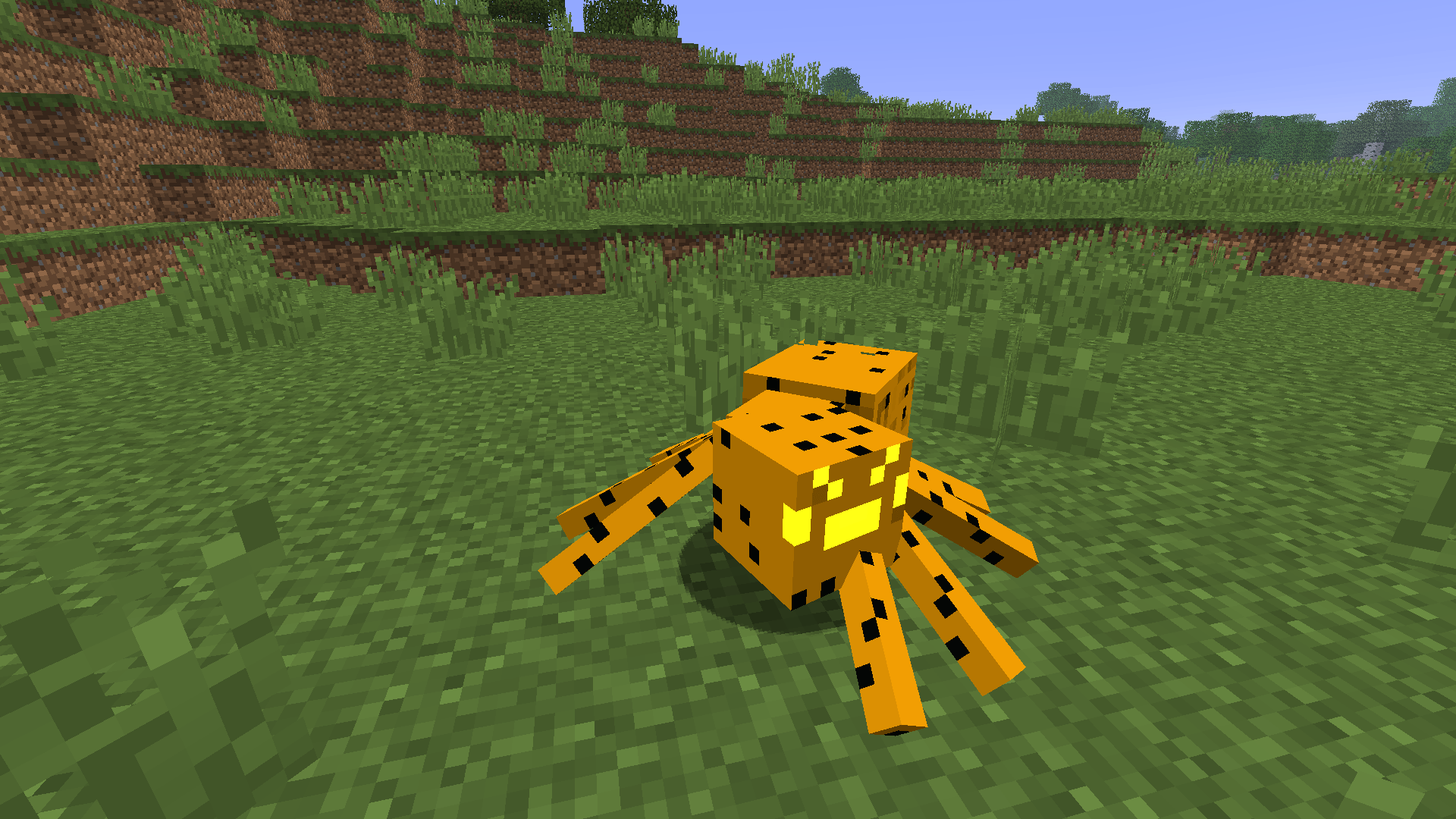 Cookie Spider