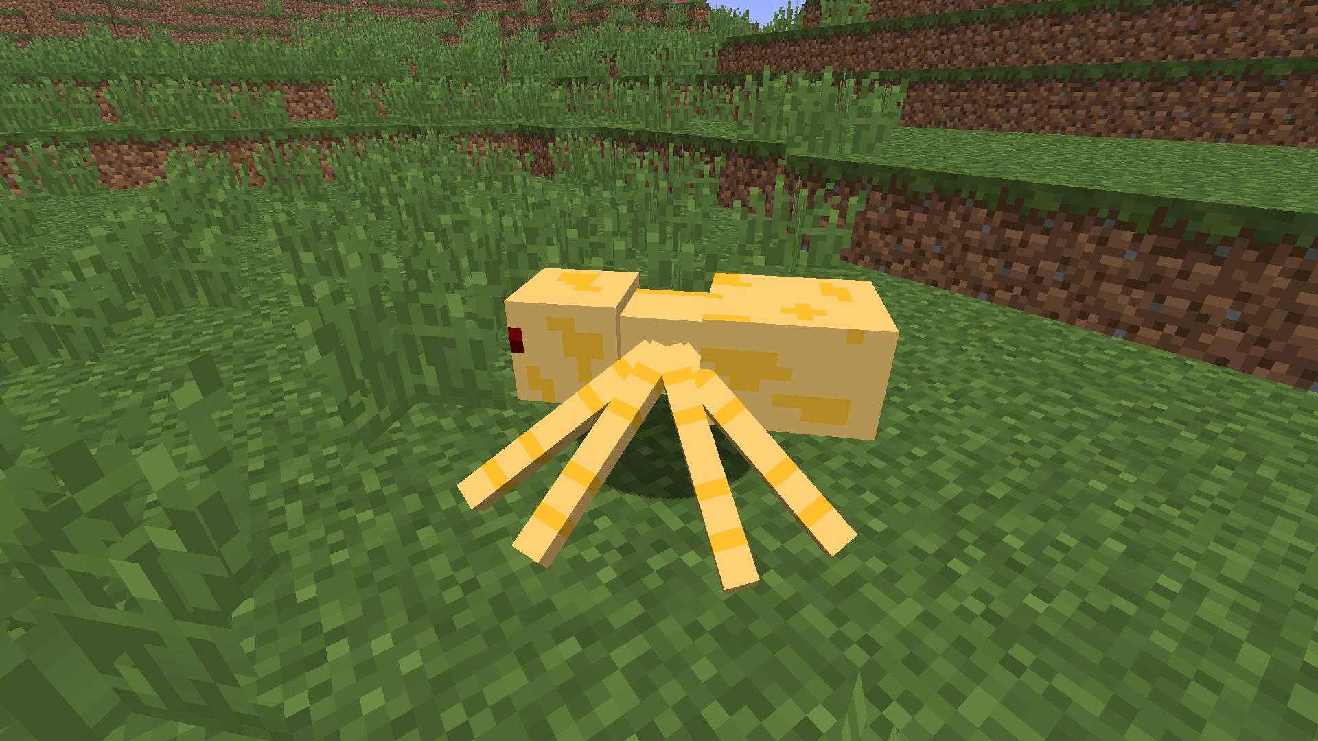 Desert Spider