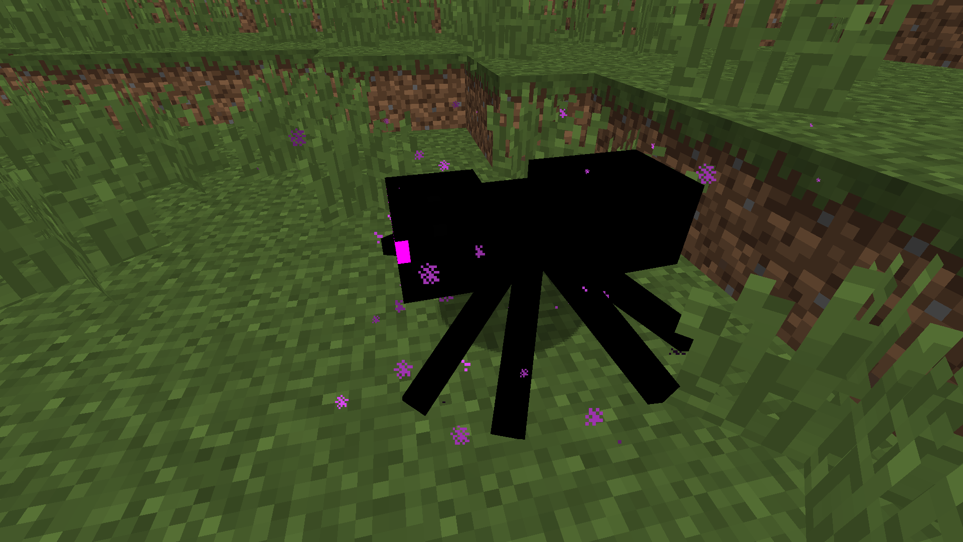 Ender Spider