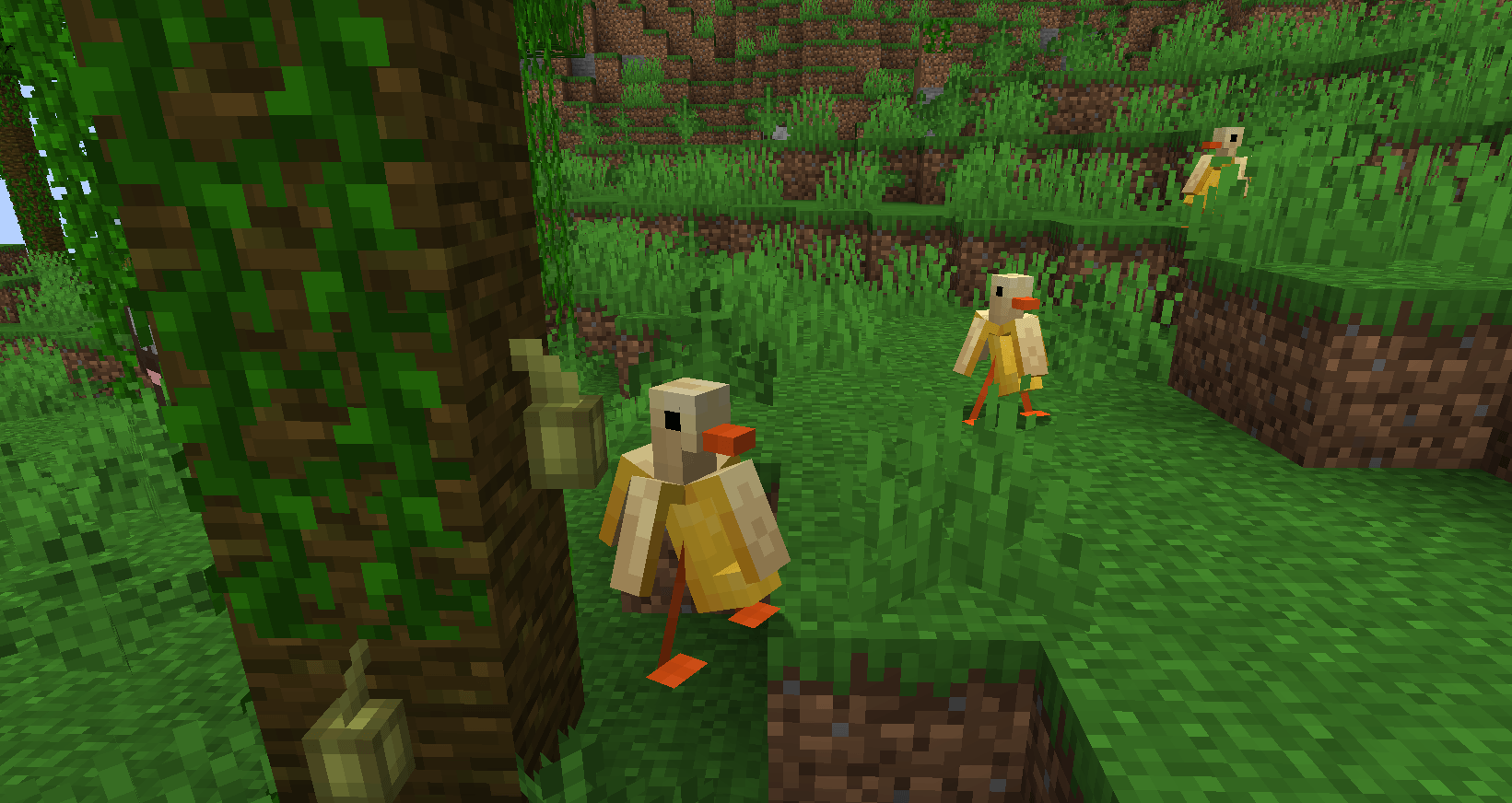 Banana ducks in jungle