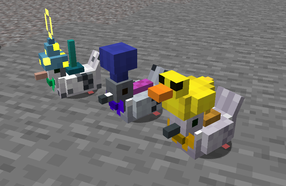 pigeons with equipment