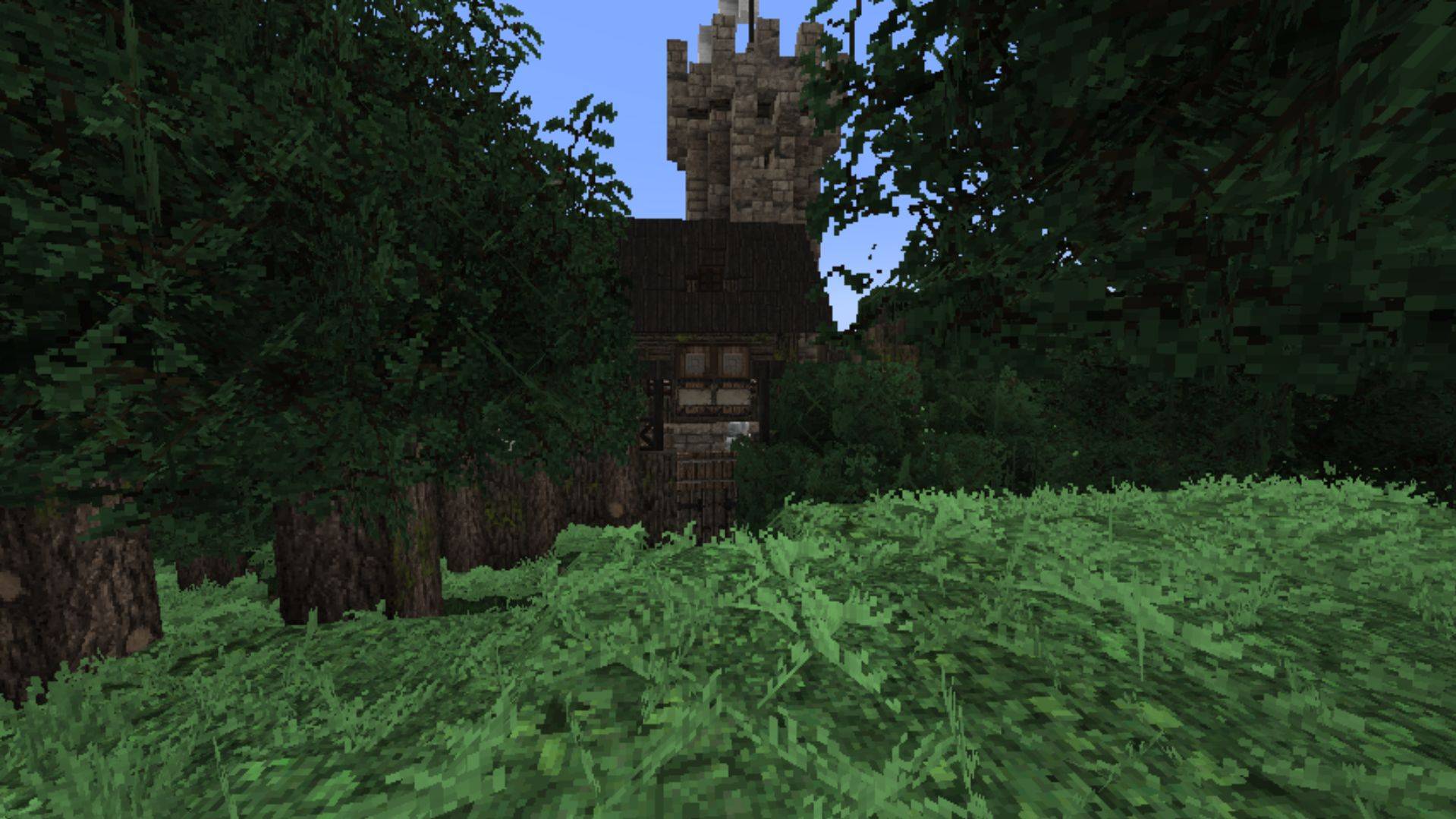 selva4-compressed.jpg