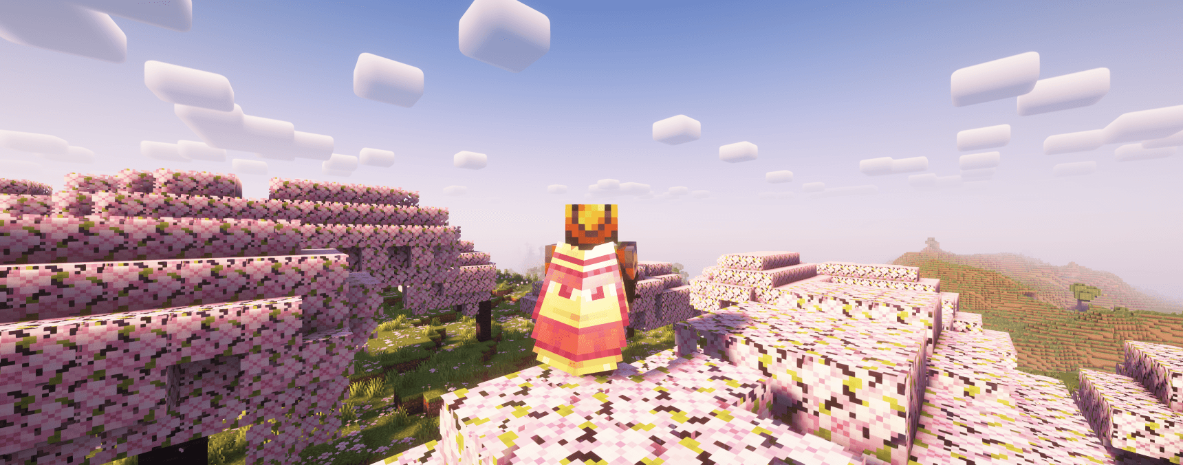 screenshot_elytra