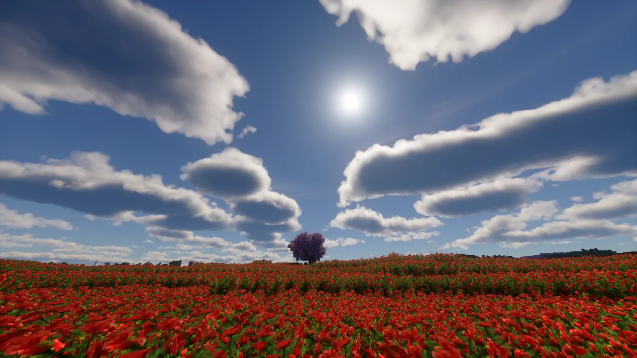 Thumbnail 1-3.BxEtx_DC.webp