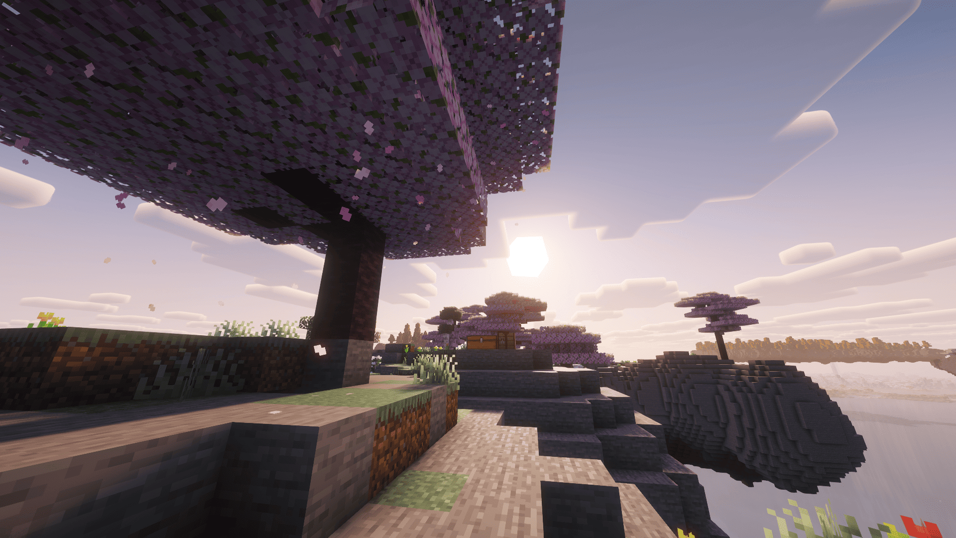 Sky island sunset