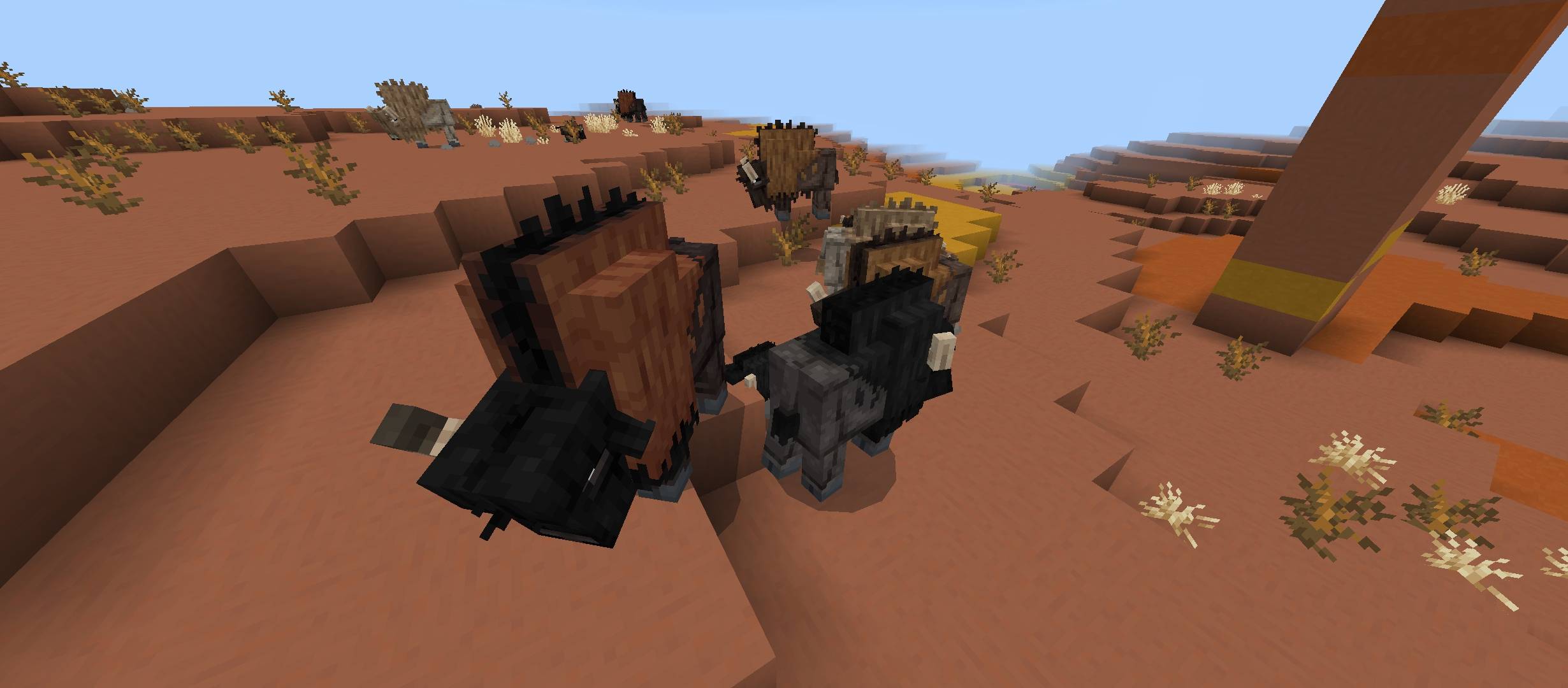 Some bison left the group and started to rest.