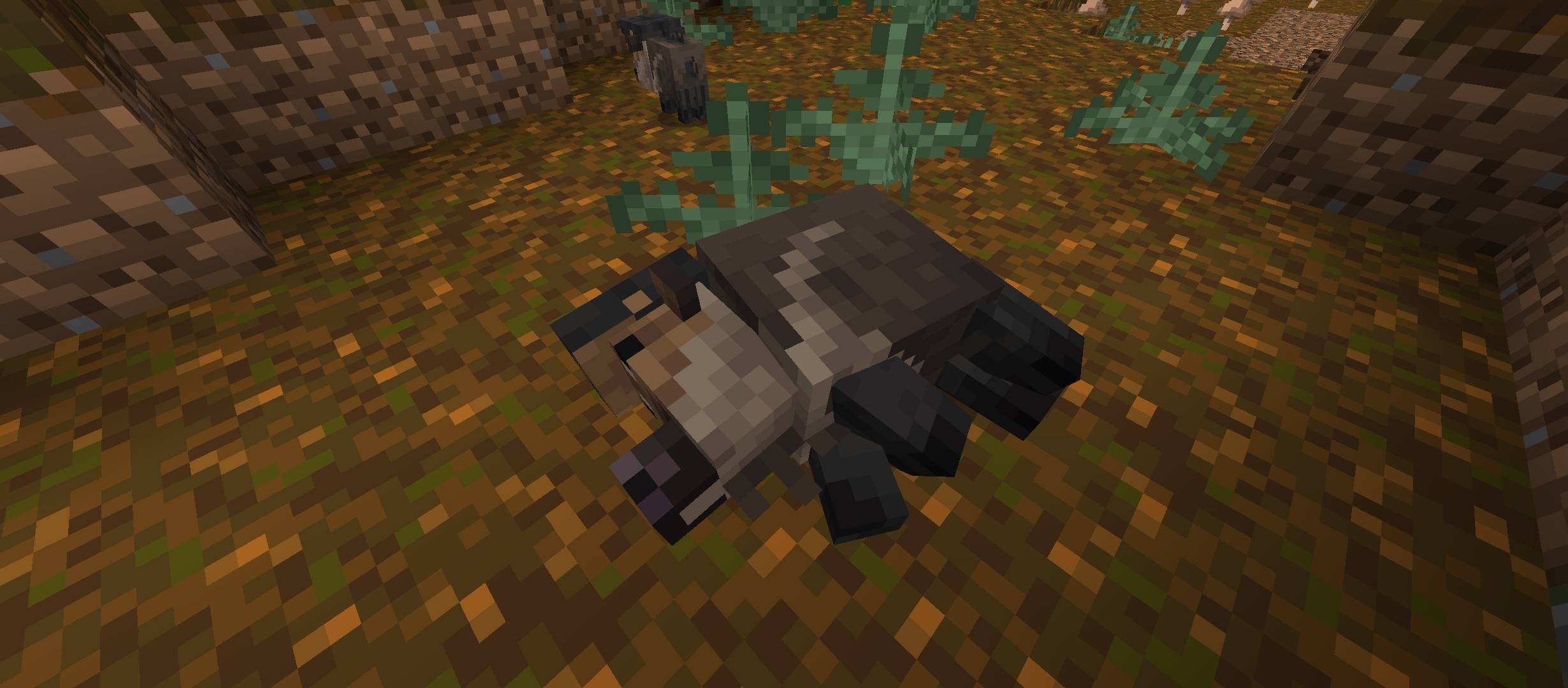 A peccary rests under a tree with its young.