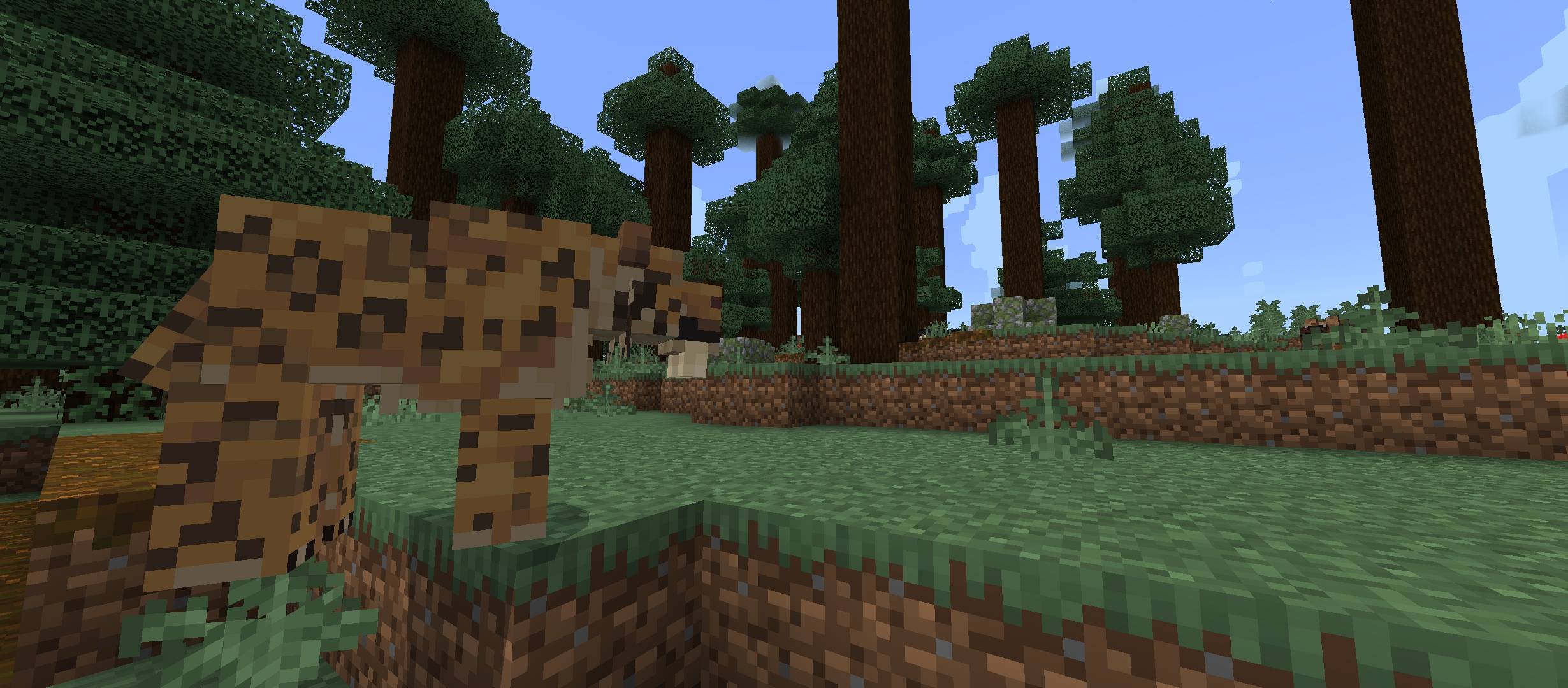 A hungry smilodon stalks its prey