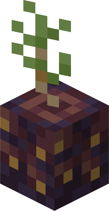 Thumbnail bonemeal a pinecone on soil to turn it into a sapling!